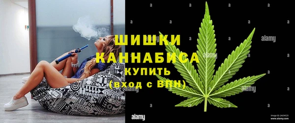 гашик Богданович