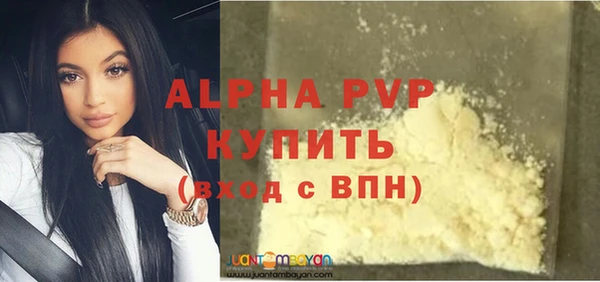 гашик Богданович
