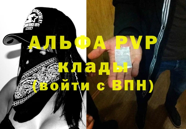 прущие крисы Белокуриха