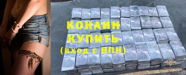 соль ск Богородицк