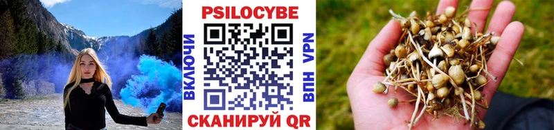 Галлюциногенные грибы Cubensis Ейск