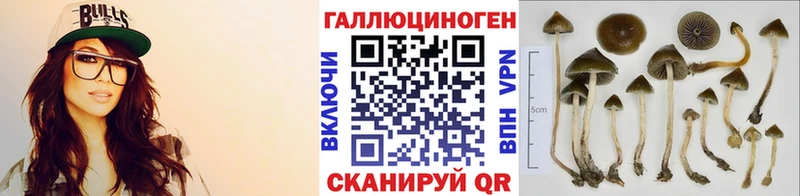 Галлюциногенные грибы прущие грибы  Ейск 
